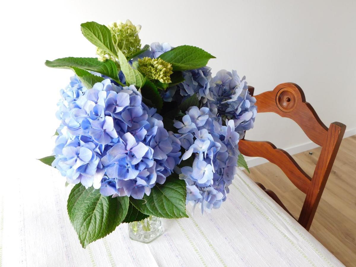 Niaazoreanapartments2, Aconchegante E Confortavel! ออร์ตา ภายนอก รูปภาพ